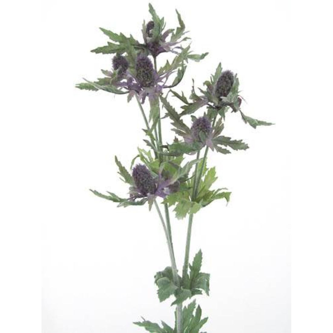 Artificial Eryngium Thistles Sea Holly Lavender Blue 80cm Artificial Flowers